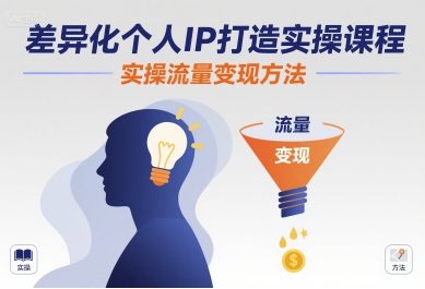 差异化个人IP打造实操课程，实操流量变现方法-星云网创