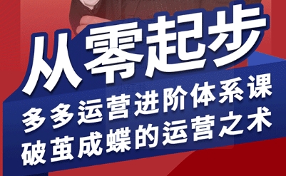拼多多运营进阶系统课，从零起步，多多运营进阶体系课，破茧成蝶的运营之术-星云网创