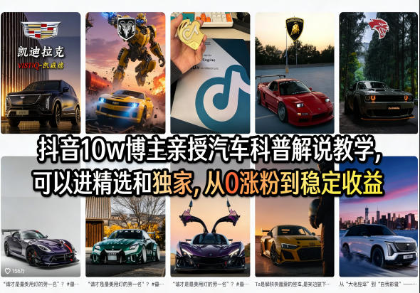 抖音10w博主亲授汽车科普解说教学，可以进精选和独家，从0涨粉到稳定收益(详细视频课程+1T素材)-星云网创