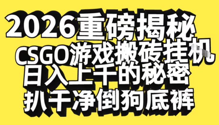 2026开年重磅解密，CSGO游戏搬砖挂G日入1k+的秘密，把倒狗的底裤扒干【揭秘】-星云网创