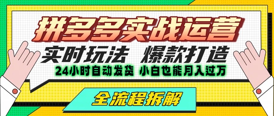 拼多多最新实战运营高投产：长久稳定项目，单店利润一天三位数-星云网创