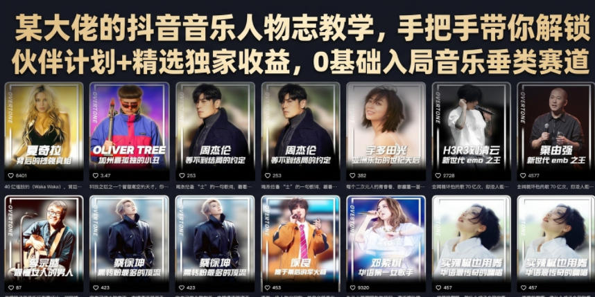 某大佬的抖音音乐人物志教学，手把手带你解锁伙伴计划+精选独家收益，0基础入局音乐垂类赛道-星云网创