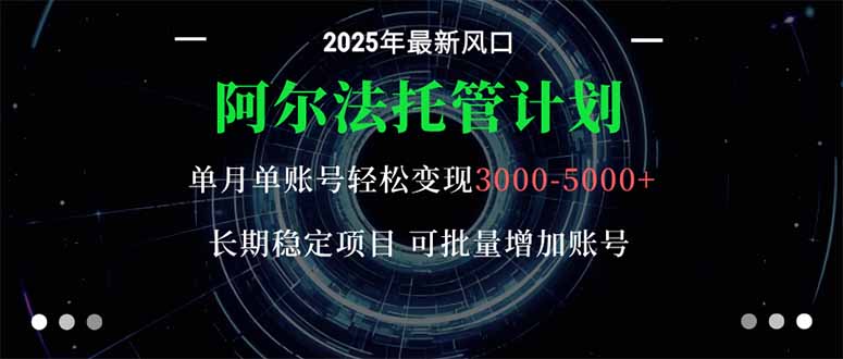 阿尔法托管计划 单账号月入3000-5000，长期稳定项目，新手小白轻松上手。-星云网创