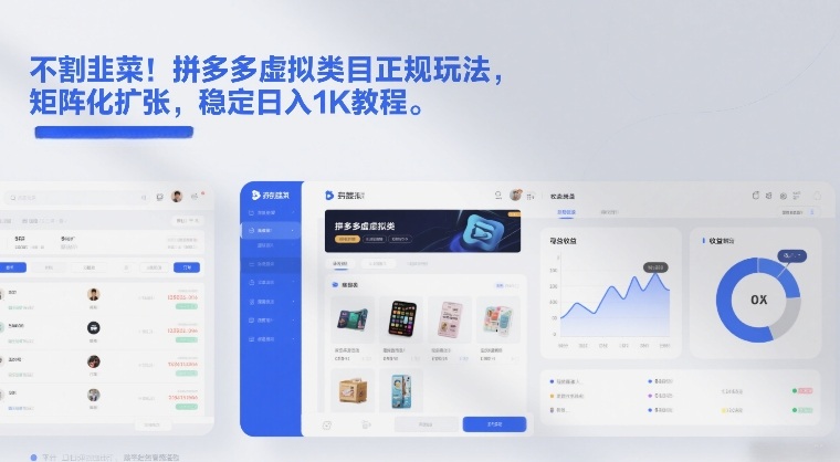 不割韭菜！拼多多虚拟类目正规玩法，矩阵化扩张，稳定日入1K教程【揭秘】-星云网创