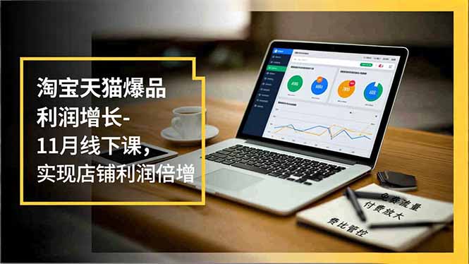 淘宝天猫爆品利润增长-11月线下课，免费流量、付费放大、费比管控，实现店铺利润倍增-星云网创
