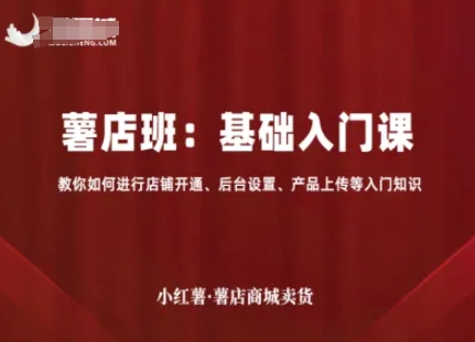 小红薯薯店商城卖货，基础入门课，教你如何进行店铺开通、后台设置、产品上传等入门知识-星云网创