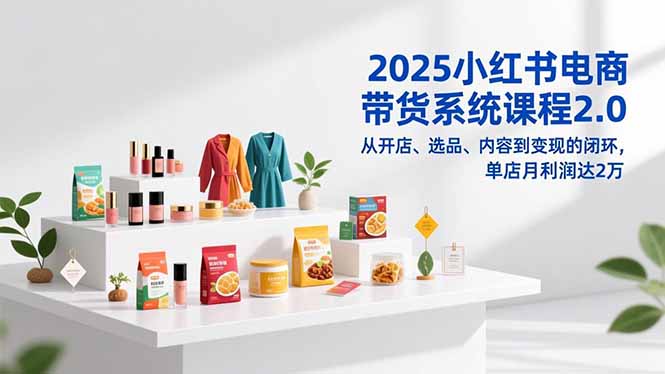 2025小红书电商带货系统课程2.0，从开店、选品、内容到变现的闭环，单店月利润达2万-星云网创