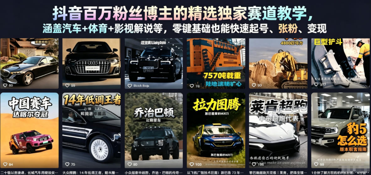 抖音百万粉丝博主的精选独家赛道教学，涵盖汽车+体育+影视解说等，零基础也能快速起号、涨粉、变现(更新0701)-星云网创