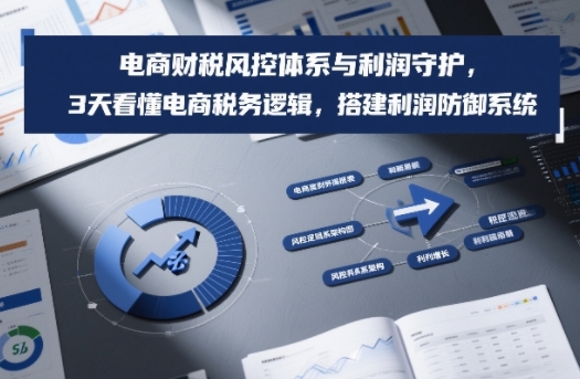 电商财税风控体系与利润守护，3天看懂电商税务逻辑，搭建利润防御系统-问题不大网创