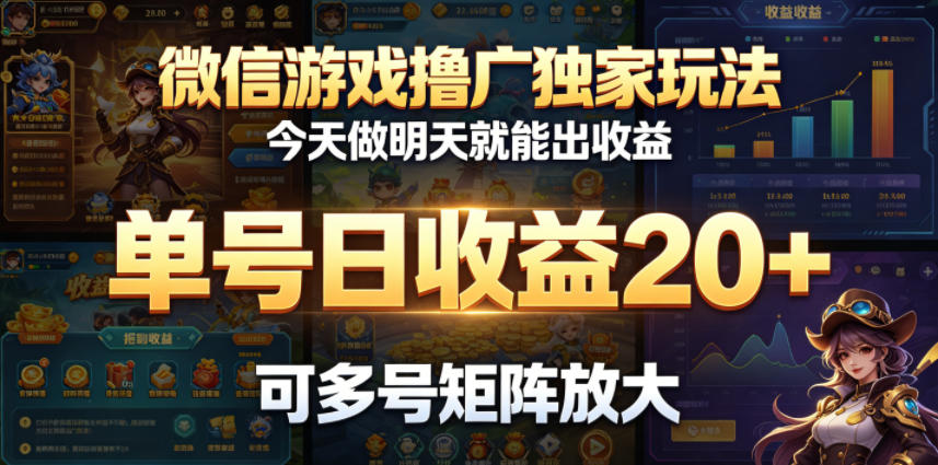 微信游戏撸广独家玩法，今天做明天就能出收益，单号日收益20+，可多号矩阵放大-星云网创