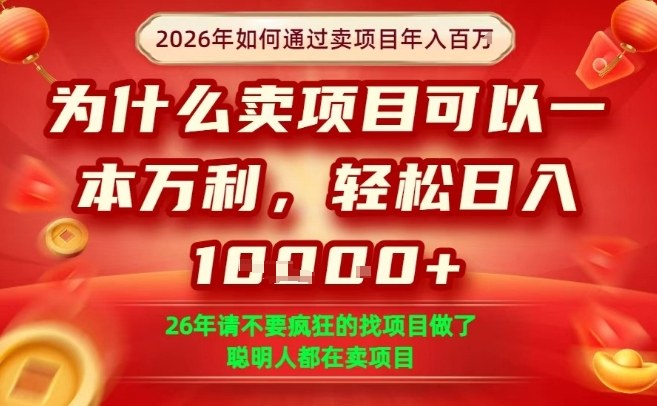 一单净利润1K+，26年想年入100个W，死磕卖项目就够了【揭秘】-星云网创