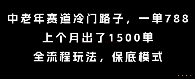 中老年赛道冷门路子，一单788，上个月出了1500单，全流程玩法，保底模式【揭秘】-星云网创
