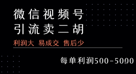 视频号卖二胡教程，利润大 易成交 售后少，一单利润5张+-星云网创