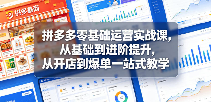 拼多多零基础运营实战课，从基础到进阶提升，从开店到爆单一站式教学-星云网创