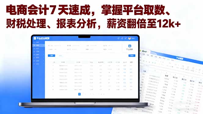 电商会计7天速成，掌握平台取数、财税处理、报表分析，薪资翻倍至12k+-星云网创