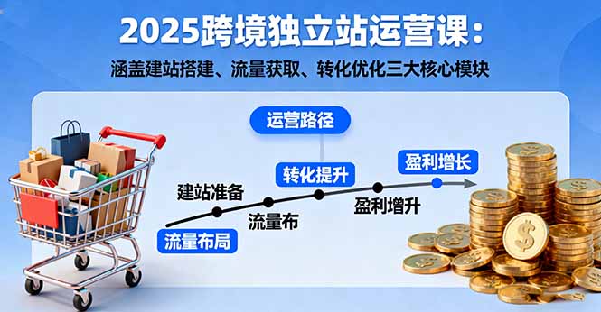 2025跨境独立站运营课：涵盖建站搭建、流量获取、转化优化三大核心模块-星云网创