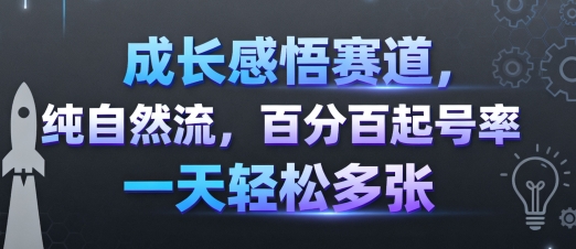 成长感悟赛道，纯自然流，百分百起号率 一天轻松多张-星云网创