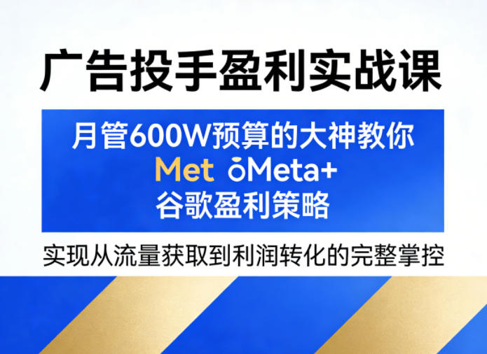 广告投手盈利实战课，月管600W预算的大神教你Meta+谷歌盈利策略，实现从流量获取到利润转化的完整掌控-星云网创