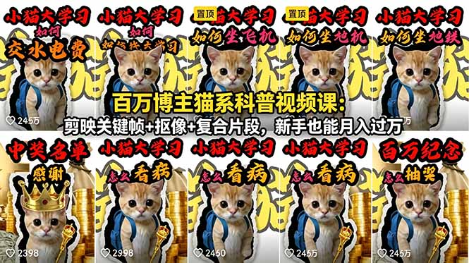 百万博主猫系科普视频课：剪映关键帧+抠像+复合片段，新手也能月入过万-星云网创