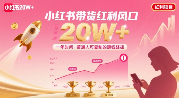 一年时间靠小红书带货项目年入20w+，最不能错的大红利项目-星云网创