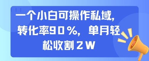 一个小白可操作私域，转化率90%，单月轻松收割2W-星云网创
