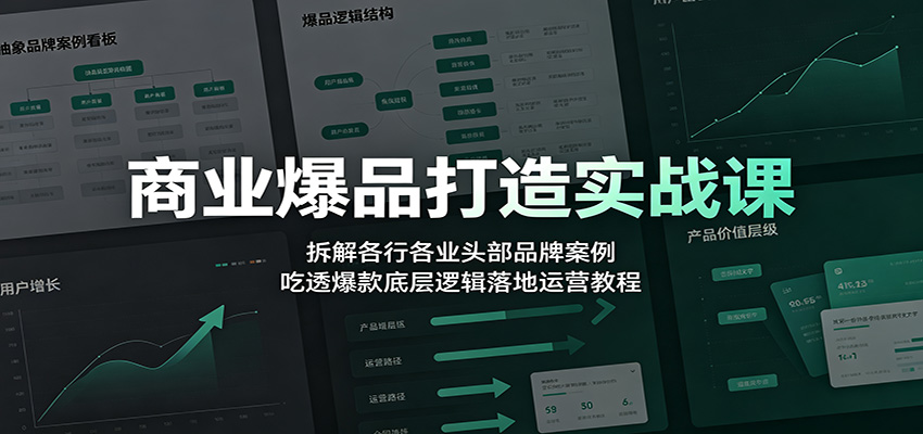 商业爆品打造实战课：拆解各行各业头部品牌案例，吃透爆款底层逻辑落地运营教程-星云网创