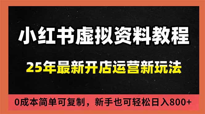小红书虚拟资料项目：最新搜索流变现玩法，0成本简单可复制，一人多店打法，新手日入800+-星云网创
