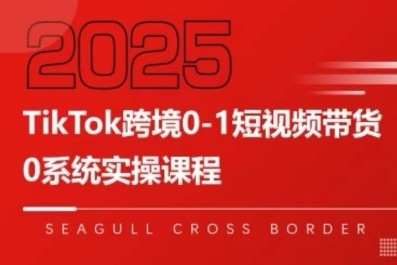 TikTok跨境0-1短视频带货，系统拆解TikTok跨境带货全链路，实现跨境可持续盈利-星云网创