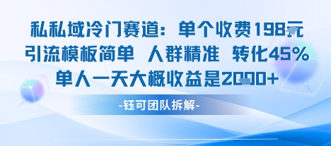 私域冷门赛道单个收费198米引流模板简单人群精准 45%的转化率单人一天大概收益多张-星云网创