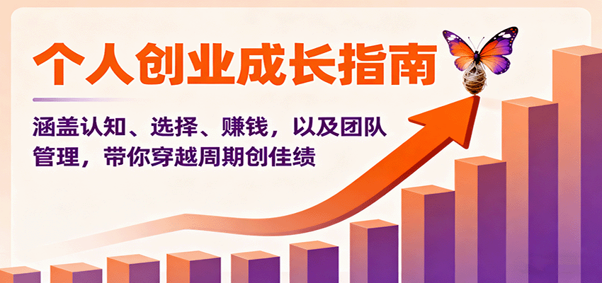 个人创业成长指南：涵盖认知、选择、赚钱，以及团队管理，带你穿越周期创佳绩-星云网创