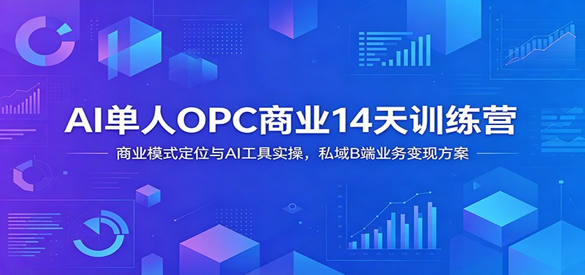 AI单人OPC商业14天训练营：商业模式定位与AI工具实操，私域B端业务变现方案-星云网创