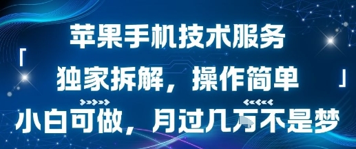 苹果手机技术服务，独家拆解，操作简单，小白可做，月过1W不是梦-星云网创