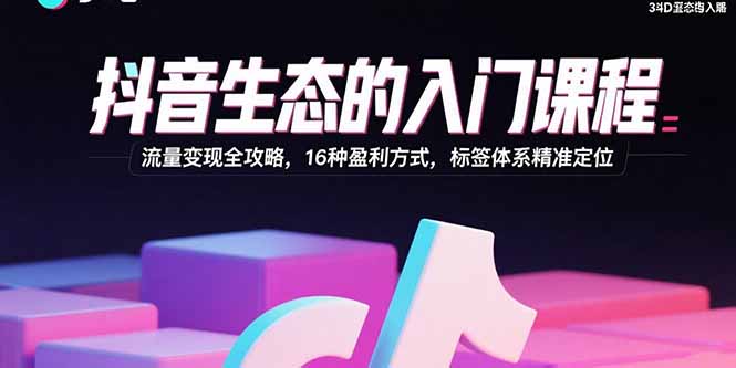 抖音生态的入门课程：流量变现全攻略，16种盈利方式，标签体系精准定位-星云网创