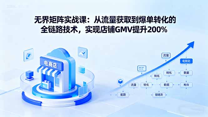 无界矩阵实战课：从流量获取到爆单转化的全链路技术，实现店铺GMV提升200%-星云网创