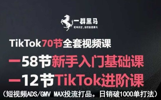 TikTok全套视频课，新手入门+进阶课，短视频ADS-GMV MAX投流打品，日销破1000单打法-星云网创