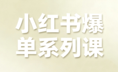 小红书爆单系列课，聚焦小红书电商全链路增长(更新)-星云网创