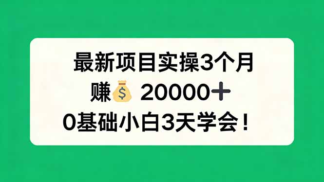 最新项目实操3个月，赚钱20000+，0基础小白3天学会！-星云网创