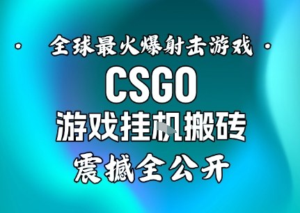 【年底大揭秘】基于全球最火爆的射击CSGO游戏挂G搬砖，日入5张+，震撼公开-星云网创