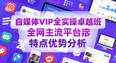 自媒体VIP全实操卓越班，全网主流平台特点优势分析-问题不大网创