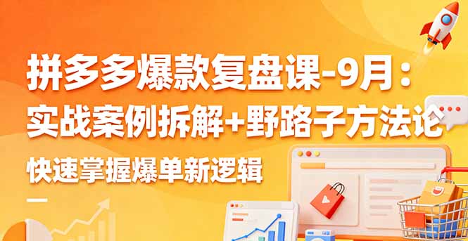 拼多多爆款复盘课-9月：实战案例拆解+野路子方法论，快速掌握爆单新逻辑-云网创