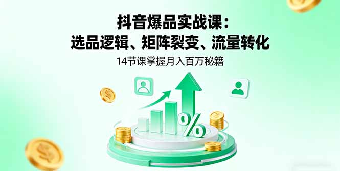 抖音爆品实战课：选品逻辑、矩阵裂变、流量转化，14节课掌握月入百万秘籍-星云网创