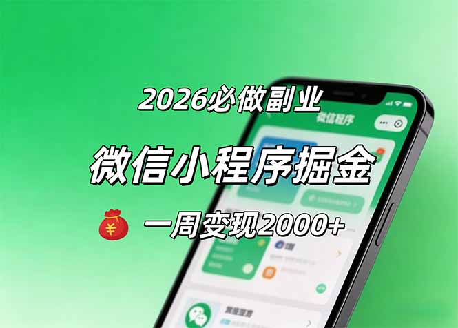 2026微信小程序掘金，简单好上手，一周变现2000+-星云网创