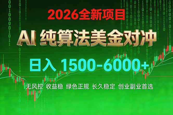 2026 全新美金对冲项目，不套平台赠金，不封号，纯算法对冲，日入 1500-6000+-星云网创
