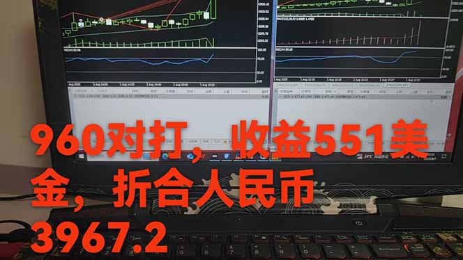 图片[1]-稳定8年的美刀搬砖项目，单人每日收益800—3000.团队4人月入10W+.可线下-星云网创