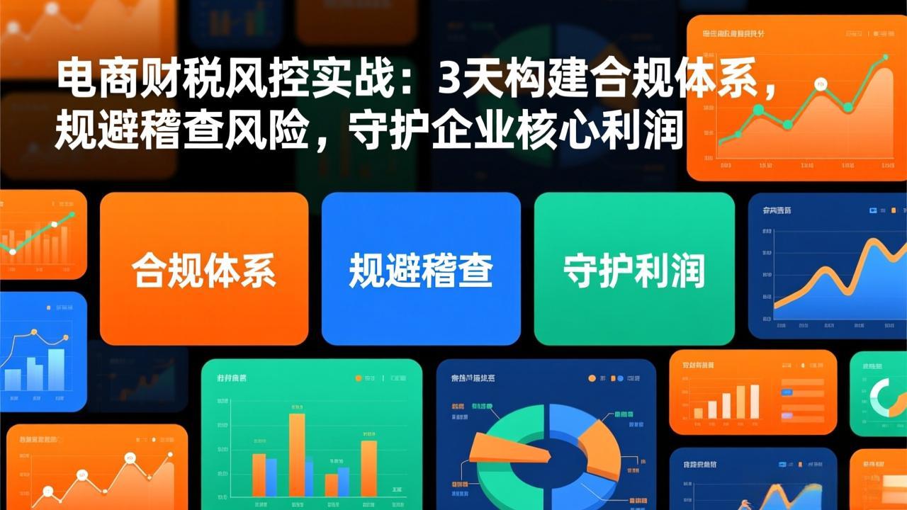 电商财税风控实战：3天构建合规体系，规避稽查风险，守护企业核心利润-星云网创