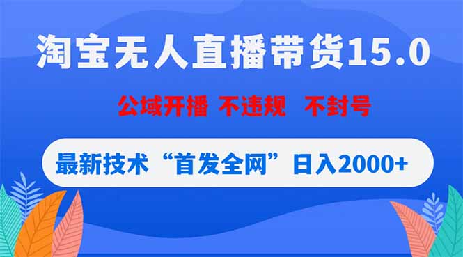 淘宝无人直播带货15.0，不封号，不违规，公域玩法，首发全网日入2000+-星云网创