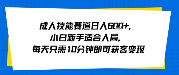成人技能赛道日入多张，小白新手适合入局，每天只需10分钟即可获客变现-星云网创