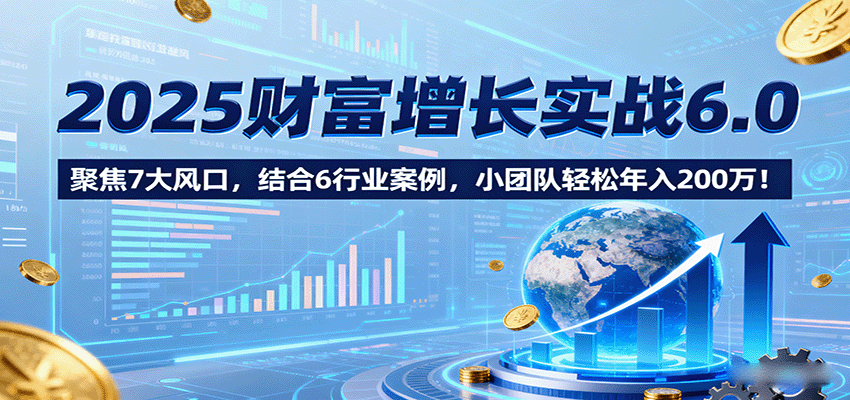 2025财富增长实战6.0,聚焦7大风口,结合6行业案例,小团队轻松年入200万!-星云网创