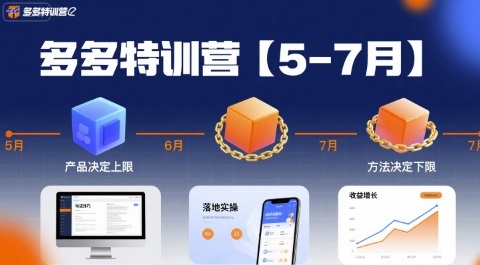 多多特训营【5-7月】产品决定上限，方法决定下限，各种玩法技巧落地实操-星云网创