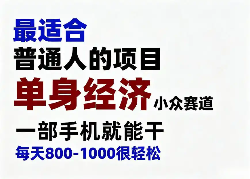 身经济小众赛道，一部手机就能干，每天搞个800-1000很轻松，最适合普通人的项目【揭秘】